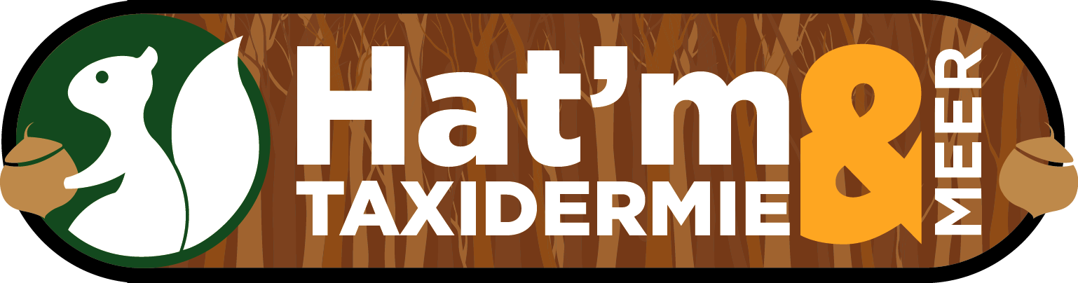 www.hat-m.nl